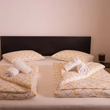 Alessia In The Old Town טימישוארה