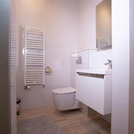 Appartement Alessia In The Old Town Timişoara