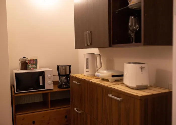 Alessia In The Old Town * טימישוארה