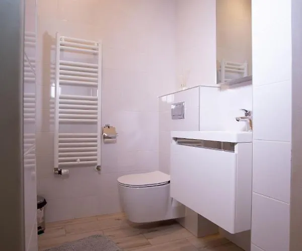 Apartment Alessia In The Old Town Timisoara